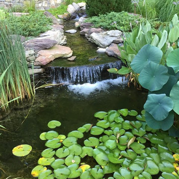 Water Features