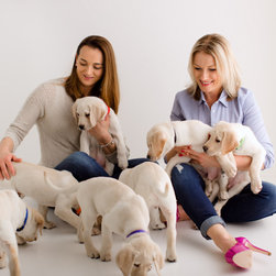 We love our dogs - Dog Toys