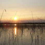 Christopher Provost's photo