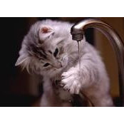 Nelly Omar's photo
