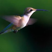 Rudy Rei's photo