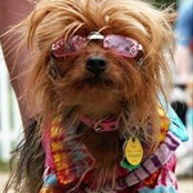 Robin Zell's photo