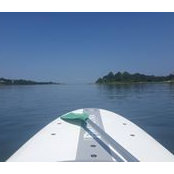 Nancy Walsh's photo
