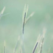 Bec Cann's photo