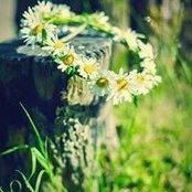 Foto von شذى ياسين