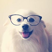 Uram Lee's photo