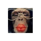 Ginger Rogerss billede