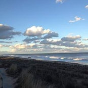 Judith A. Celli's photo