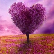Valerie Caban's photo