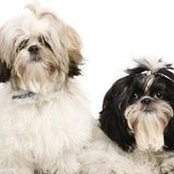 Erlana Castro's photo
