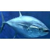 Zak Herring's photo