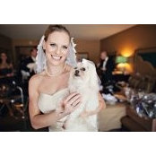 Michelle Scheid Meyer's photo