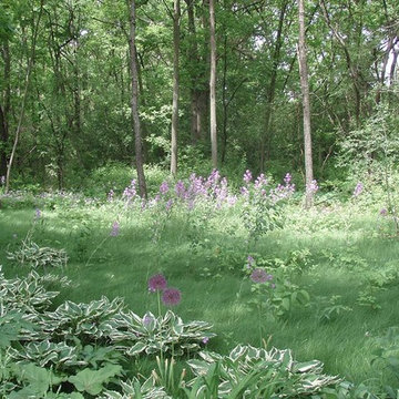 Shade-loving prairie plants