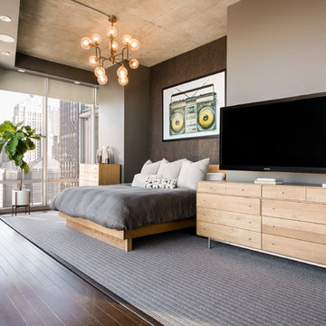 South Loop Contemporary Condo