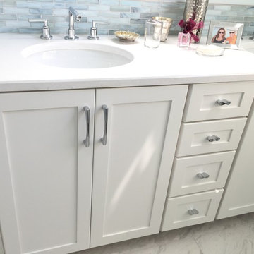 Universal Design Transitional Master Bathroom