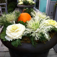 Planters