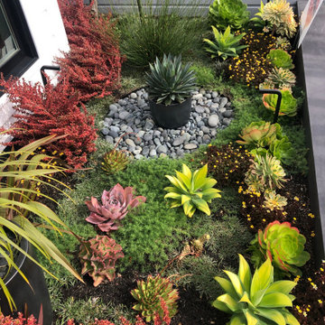 Front yard terrace from upper stair