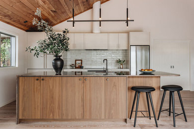 Kitchen - contemporary galley medium tone wood floor and vaulted ceiling kitchen idea in Wellington with quartzite countertops and an island