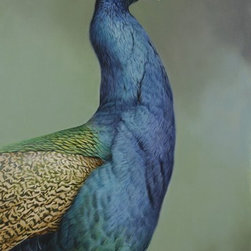 Blue Peacock- Brett Jarrett - Paintings