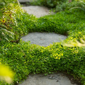 Paths and steps