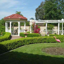 Back yard makeover