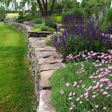 Lake house Landscaping