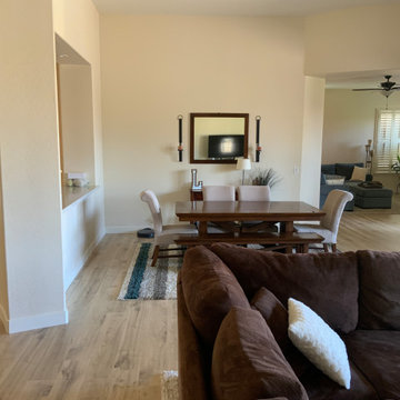 Gilbert Remodel