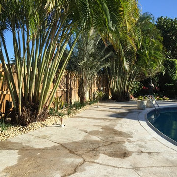 Tropical Pool Landscapes