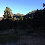 Tammy N Dawson Bowers's photo