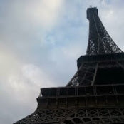 kevin schiff's photo