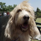 Mary Fluke's photo