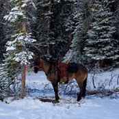 Tracy Bodenhamer's photo