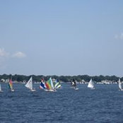 JoAnn Fitzgerald's photo