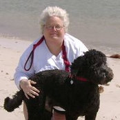 Sue Borg's photo
