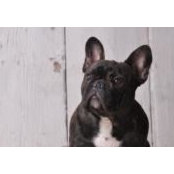 Foto von Tiffany Dukes-Lettice