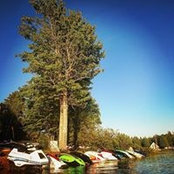 Cody Sanchez's photo