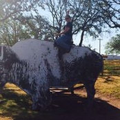 Tamara Womack's photo