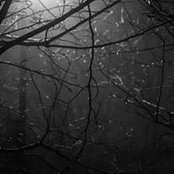 Arnaud Roth's photo