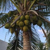 Sachin Shah's photo