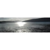 Felicity Elliott's photo