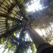 Victoria Romaris's photo