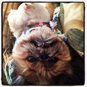 Lindy Knisely's photo
