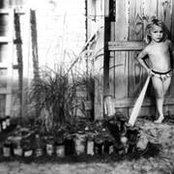 Shauna Allen's photo