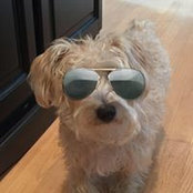 Mike Piekart's photo