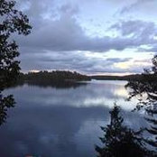 Laurie Velez's photo