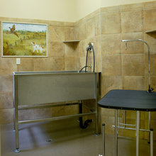 Vet Clinic