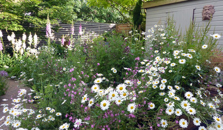 9 Ways to Create a More Sustainable Garden