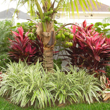 Tropical Landscaping