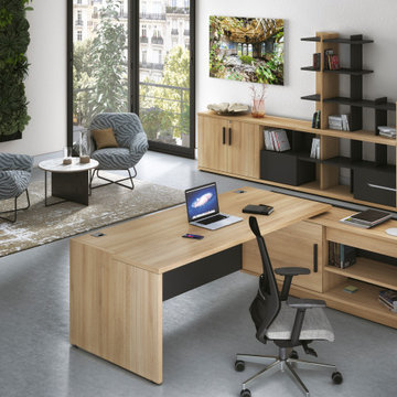Office Collections
