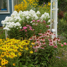 Der Garten im September – was jetzt zu tun ist